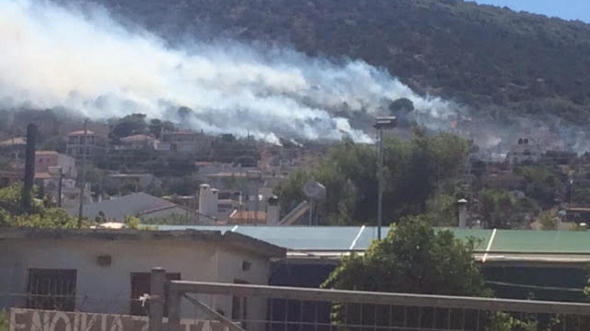 Υπό μερικό έλεγχο η φωτιά στη Λούτσα