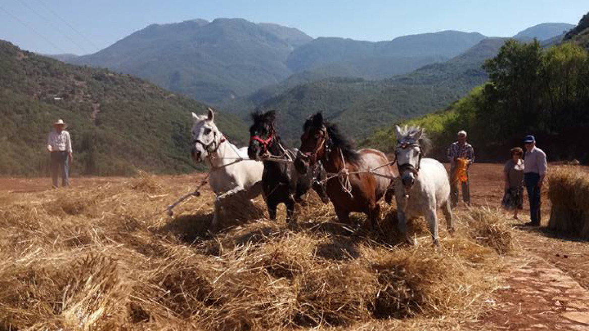 Όλη η Καρύταινα μία μεγάλη γιορτή!(Video και εικόνες)