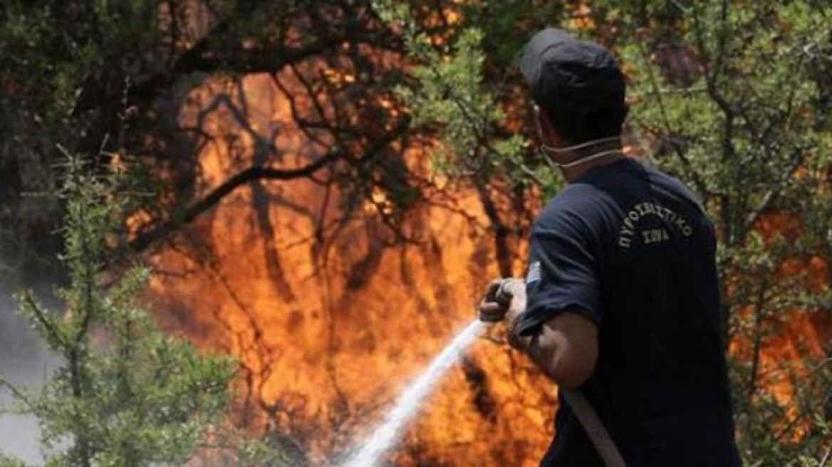 Αχαΐα: Φωτιά στην περιοχή Κρίνος από κεραυνό 