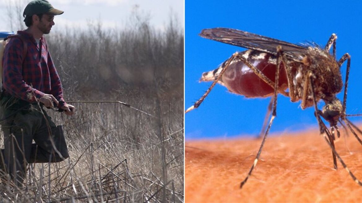 First West Nile virus case for summer recorded