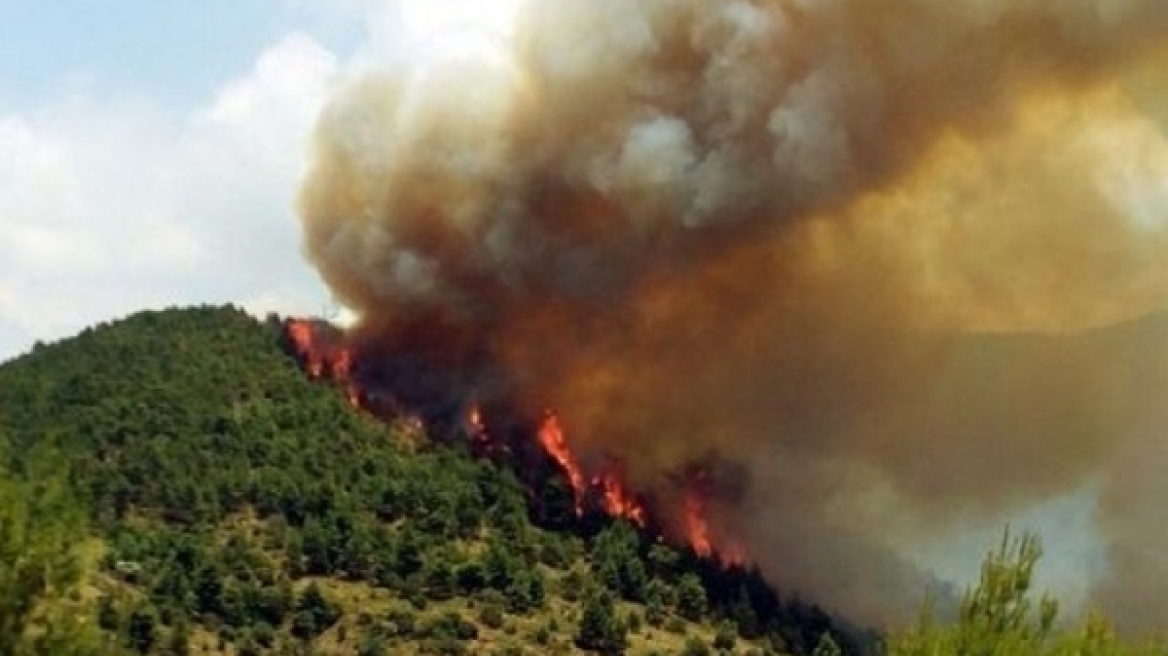 Καλαμάτα: Υπό μερικό έλεγχο η φωτιά στην περιοχή Μιλά Μεσσηνίας  