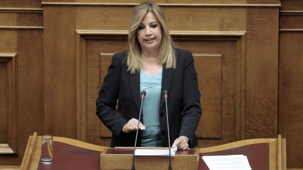 Φώφη Γεννηματά: Υπάρχει πρόβλημα Δημοκρατίας