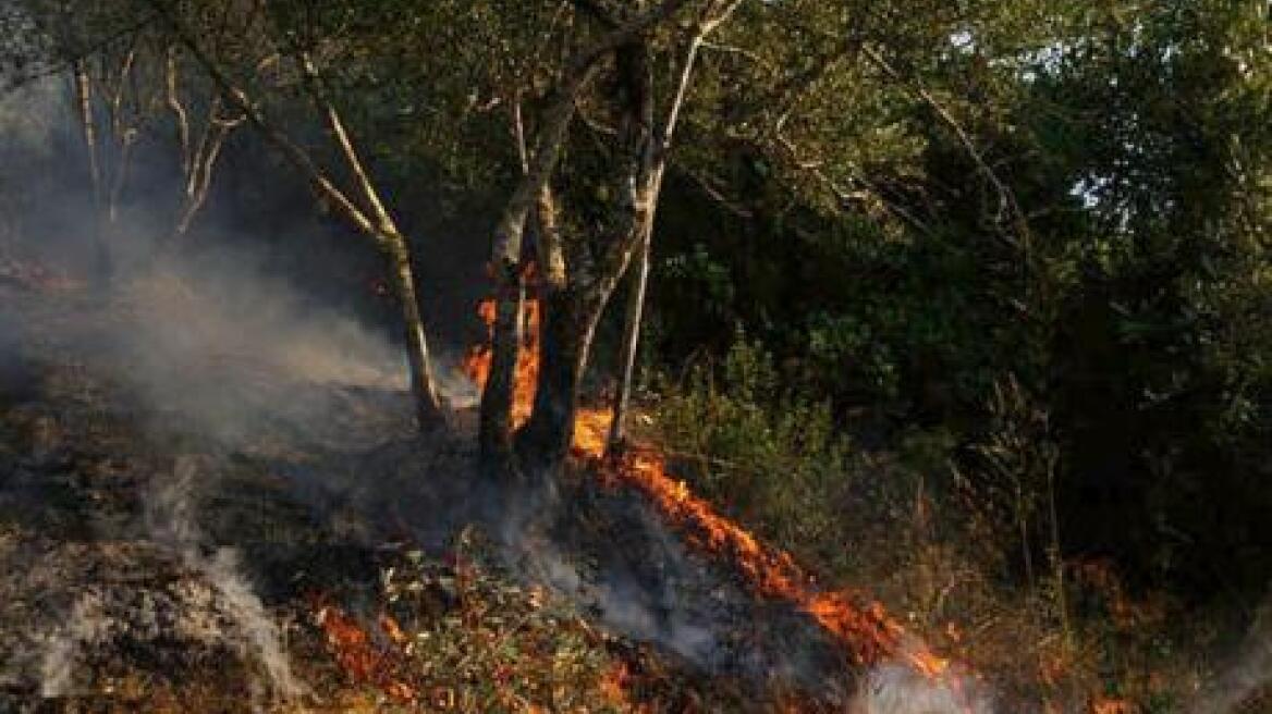 Σε ύφεση η πυρκαγιά που καίει από χτες το όρος Παντοκράτορα στην Κέρκυρα