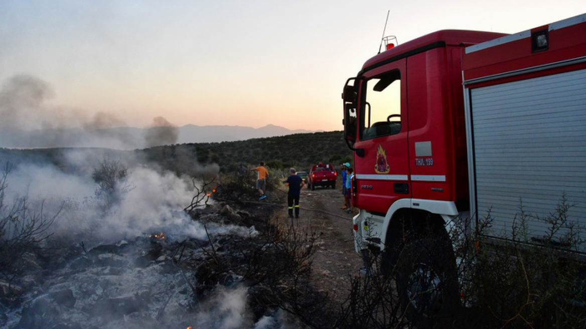 Ηλεία: Φωτιά σε αγροτικές εκτάσεις στην περιοχή της Σμίλας