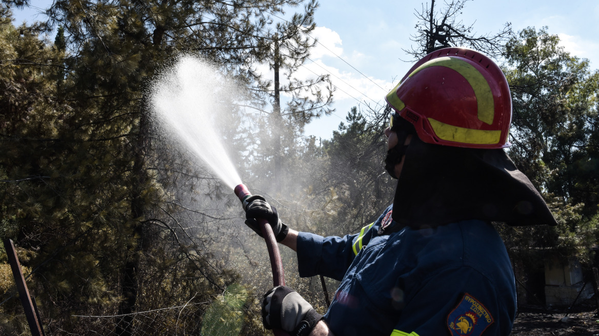 Αργολίδα: Πυρκαγιά σε δασική έκταση στην περιοχή Αδάμι