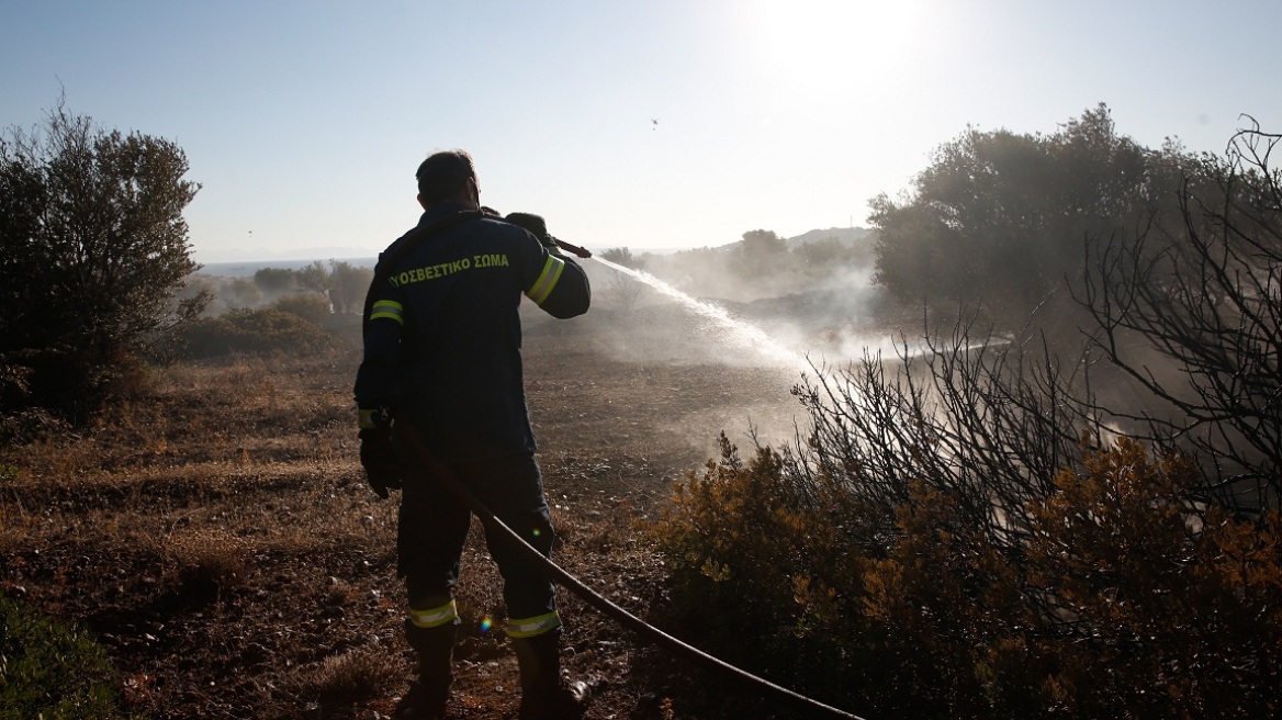 Ιεράπετρα: Ένας 43χρονος πίσω από τη φωτιά - «Κάπνιζε» μελίσσι