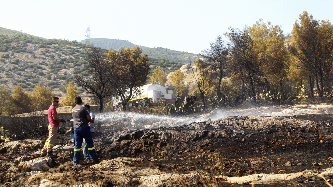 Αντιμετωπίστηκε έγκαιρα η πυρκαγιά σε δασική έκταση στο Μενίδι