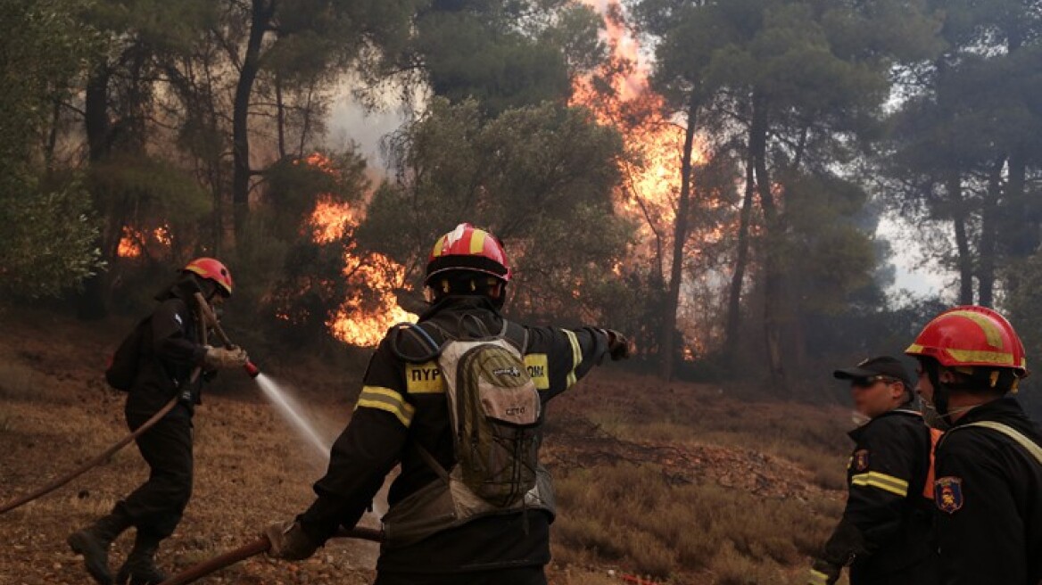 Κραυγή αγωνίας πυροσβεστών στον Τόσκα: Έχουμε εξαντληθεί