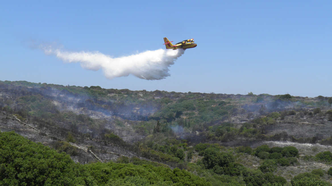 Aύριο η πληρωμή κρατικών ενισχύσεων από τον ΕΛΓΑ	