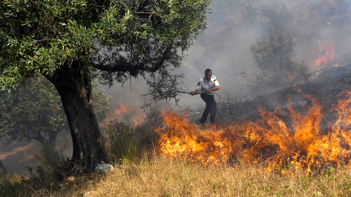 Ανεξέλεγκτη καίει η φωτιά στα χωριά της μειονότητας στην Αλβανία