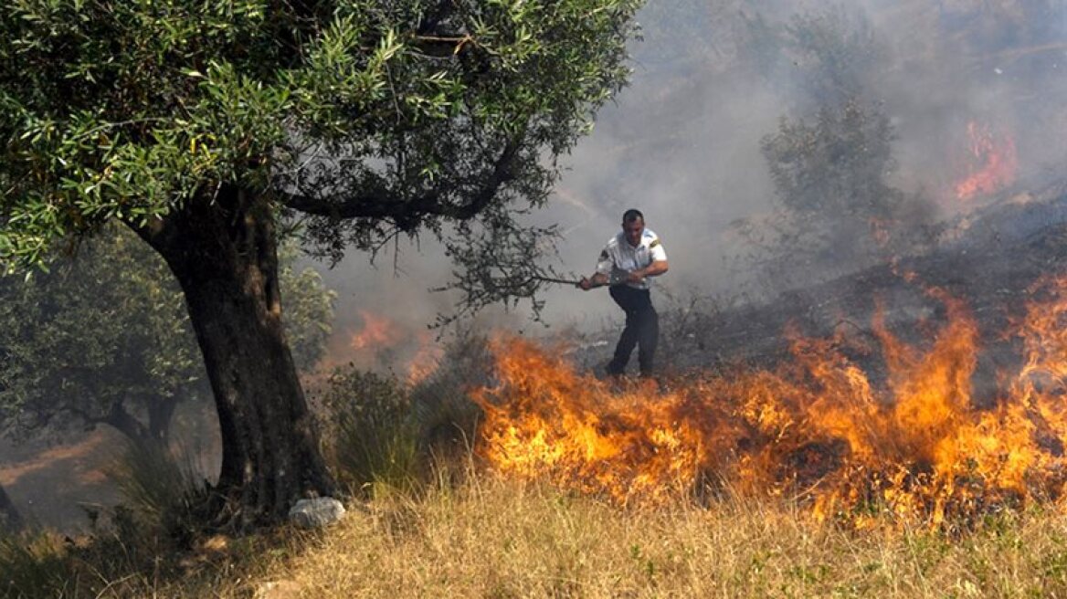 Θεσπρωτία: Μαίνονται ακόμα οι πυρκαγιές που «πέρασαν» από την Αλβανία