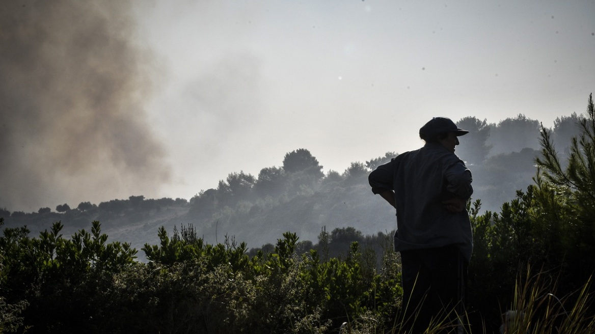 Μνήμες του εφιαλτικού 2007 ξύπνησε η πύρινη λαίλαπα στην Ηλεία