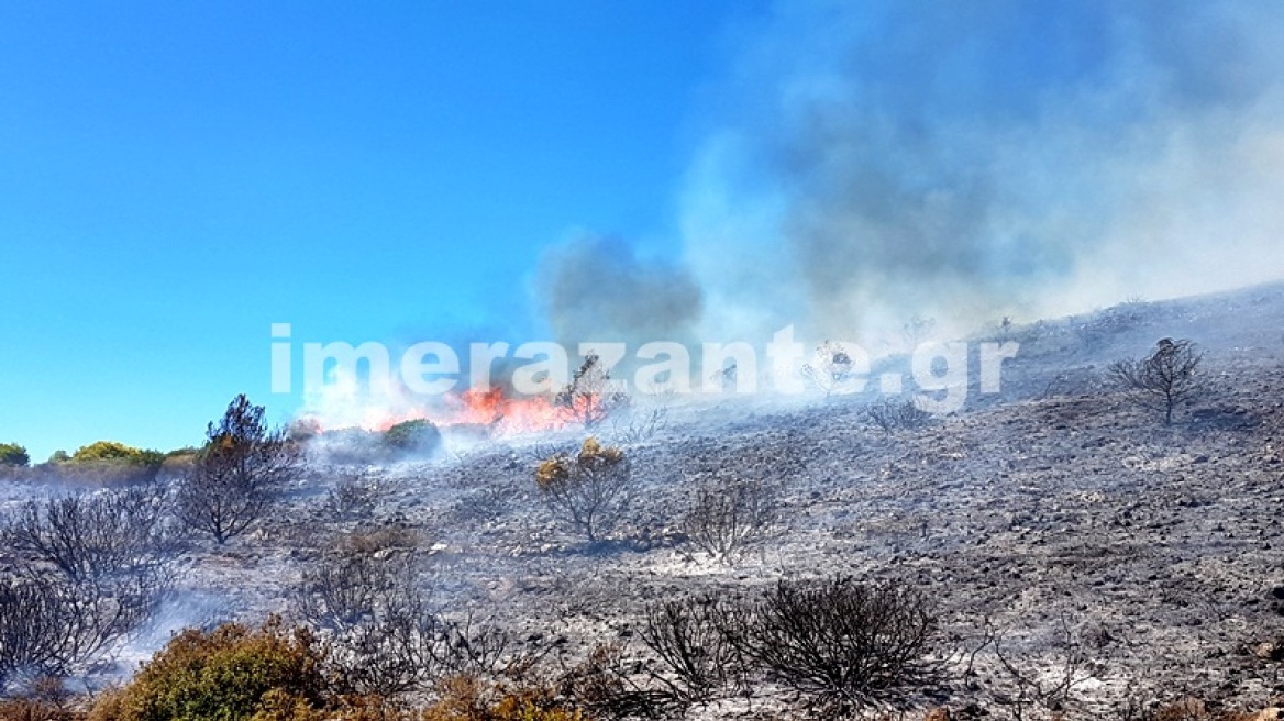 Κατακαίει την Ζάκυνθο η πυρκαγιά: 20 τα μέτωπα σε όλο το νησί