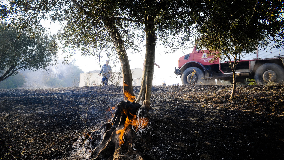 Σε πλήρη έλεγχο η πυρκαγιά στο Περιστέρι Ηλείας