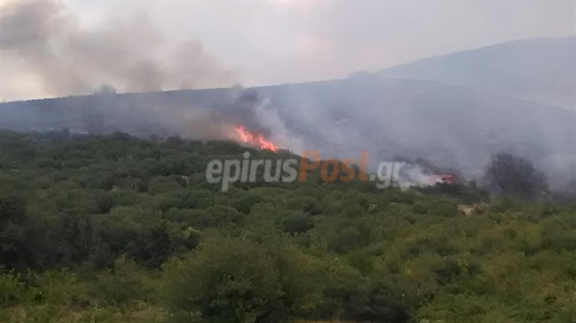 Φωτιά στην περιοχή Βροντισμένη Ιωαννίνων