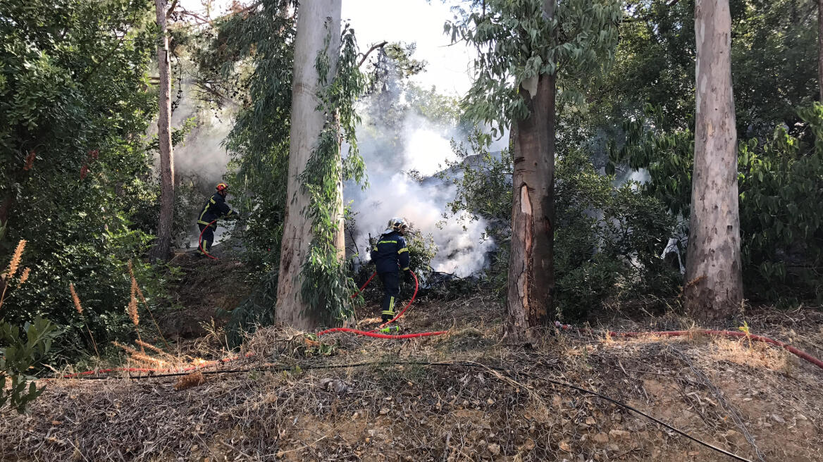 Φωτιά σε αλσύλλιο στη Δάφνη - Δείτε φωτογραφίες 