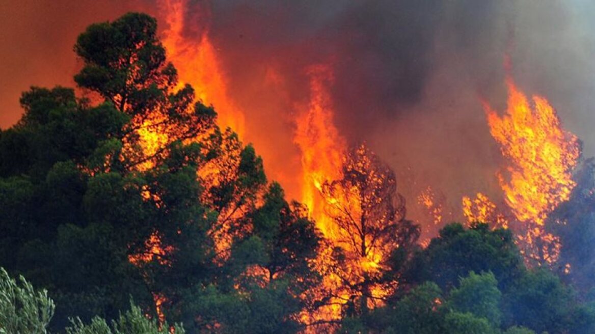 Κρήτη: Ξέσπασε φωτιά σε δασική έκταση στο Ηράκλειο