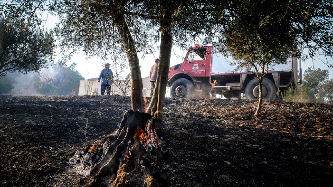 Ζάκυνθος και Ηλεία παραδόθηκαν στις φλόγες