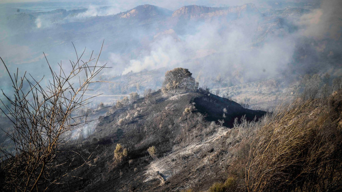 Χωρίς ενεργό μέτωπο η φωτιά στην ανατολική Αττική: Έγιναν στάχτη 18.500 στρέμματα