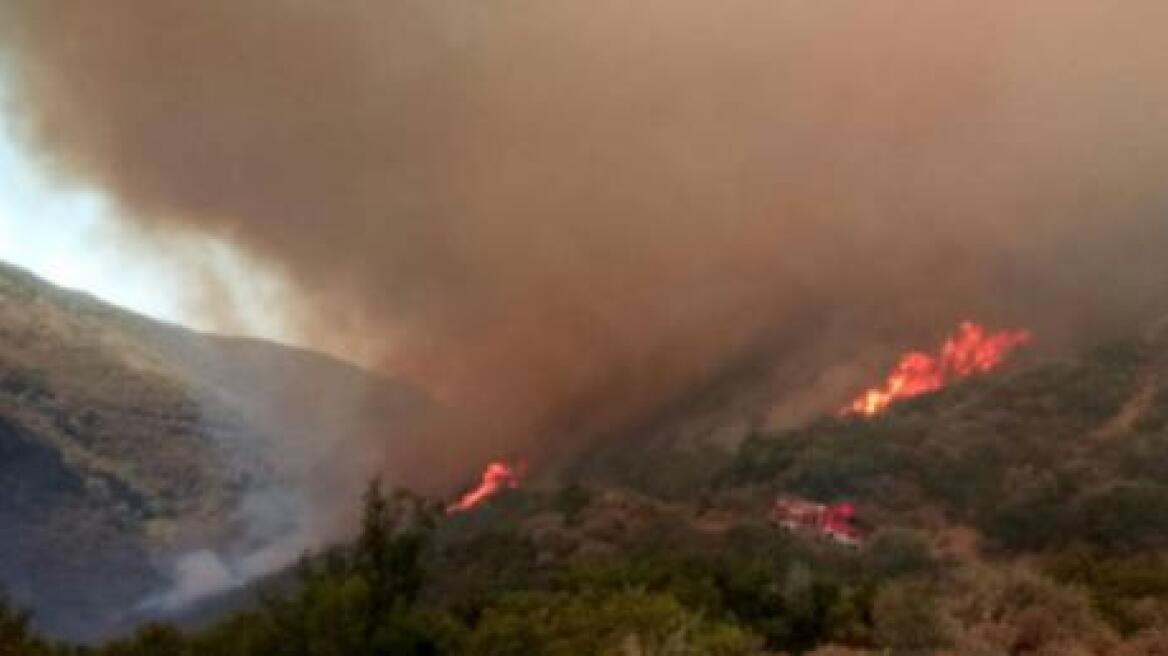 Σε εξέλιξη η φωτιά στο Μολύκρειο Ναυπακτίας