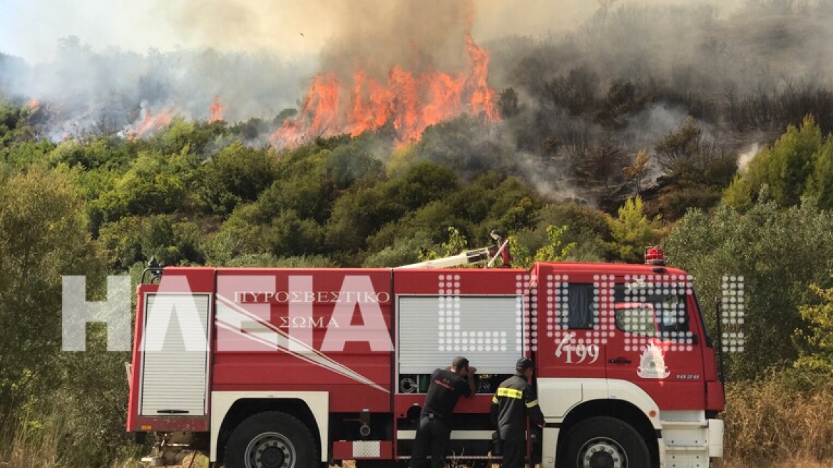 Νέα φωτιά στο Περιστέρι Ηλείας 