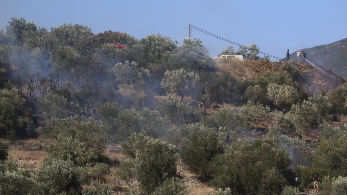 Πυρκαγιά σε δασική περιοχή στην Κοκκινιά Τροιζηνίας