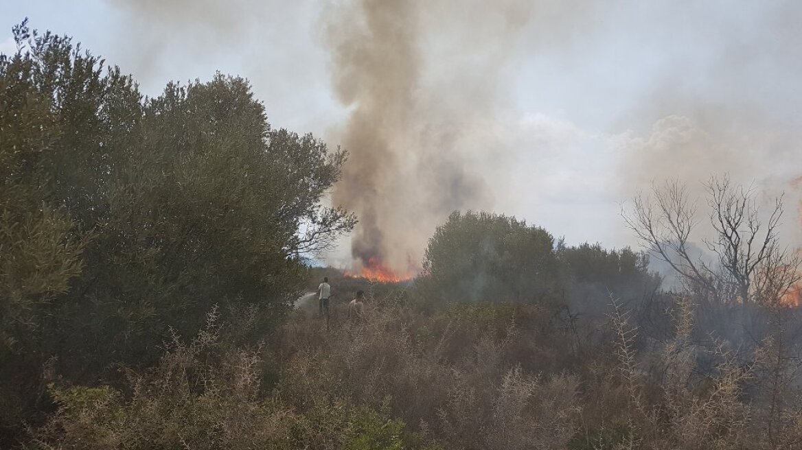 Φωτιά καίει δάσος στην Κεφαλονιά 