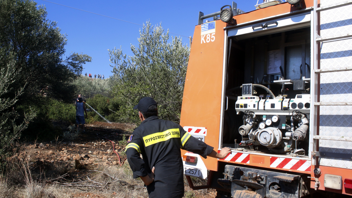 Συνελήφθη και ομολόγησε εμπρησμό στο Δομοκό Φθιώτιδας - Αποδείχτηκε και υπαίτιος πυρκαγιάς που είχε ξεσπάσει τον Αύγουστο του 2022