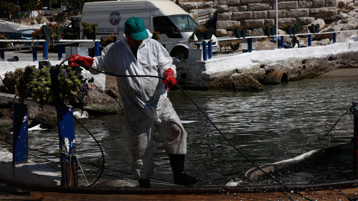 Έκκληση από τον διευθυντή του «Αρχιπέλαγος»: Το πρόβλημα είναι στη Σαλαμίνα και όχι στις παραλίες