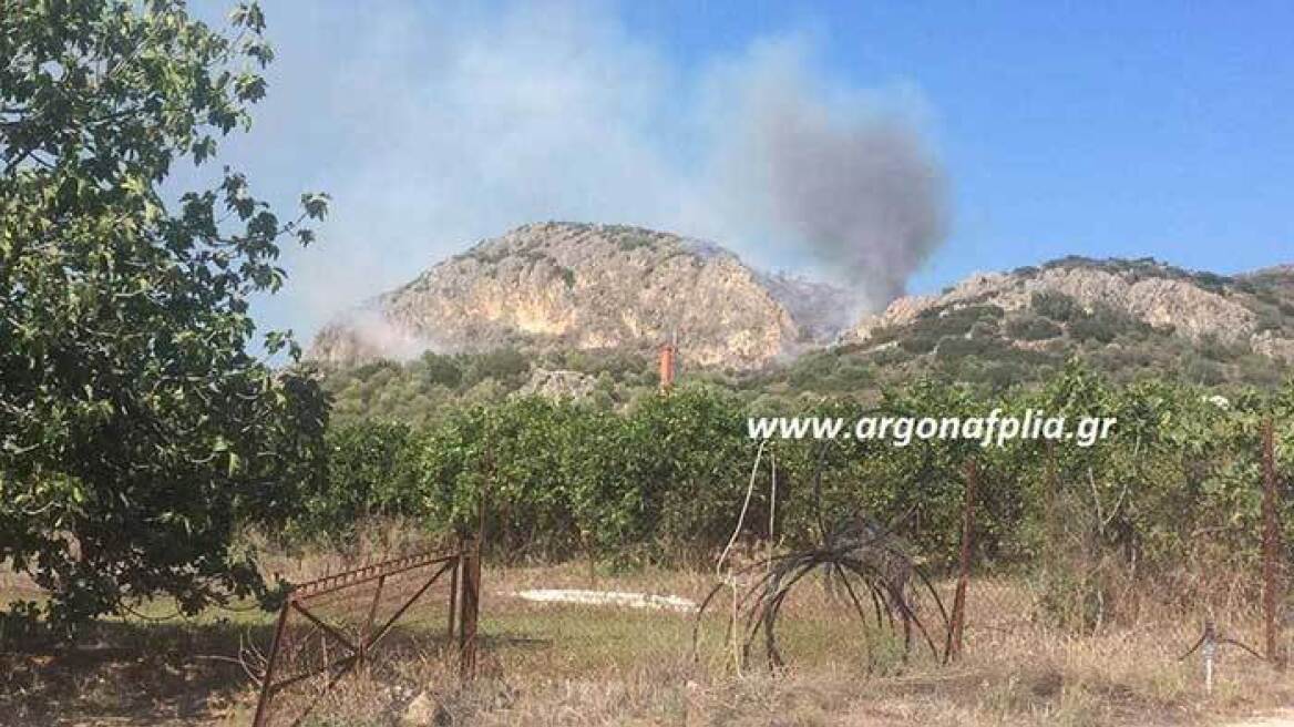 Φωτιά σε πεδίο βολής έξω από το Ναύπλιο