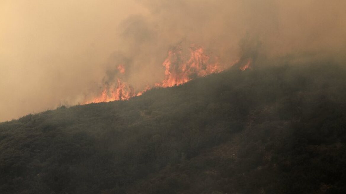 Σε εξέλιξη δύο πυρκαγιές σε Εύβοια και Κρήτη 