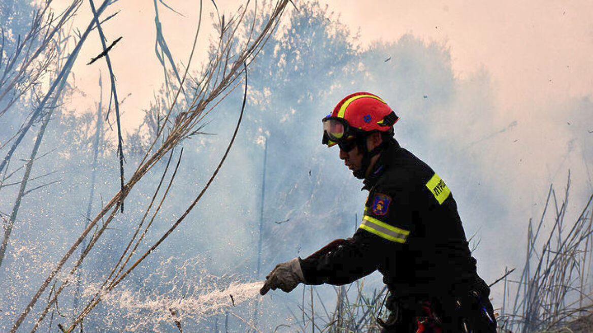 Υπό μερικό έλεγχο η φωτιά στη Δημητσάνα Αρκαδίας - Ολονύχτια μάχη στο Μετόχι Ερμιονίδας