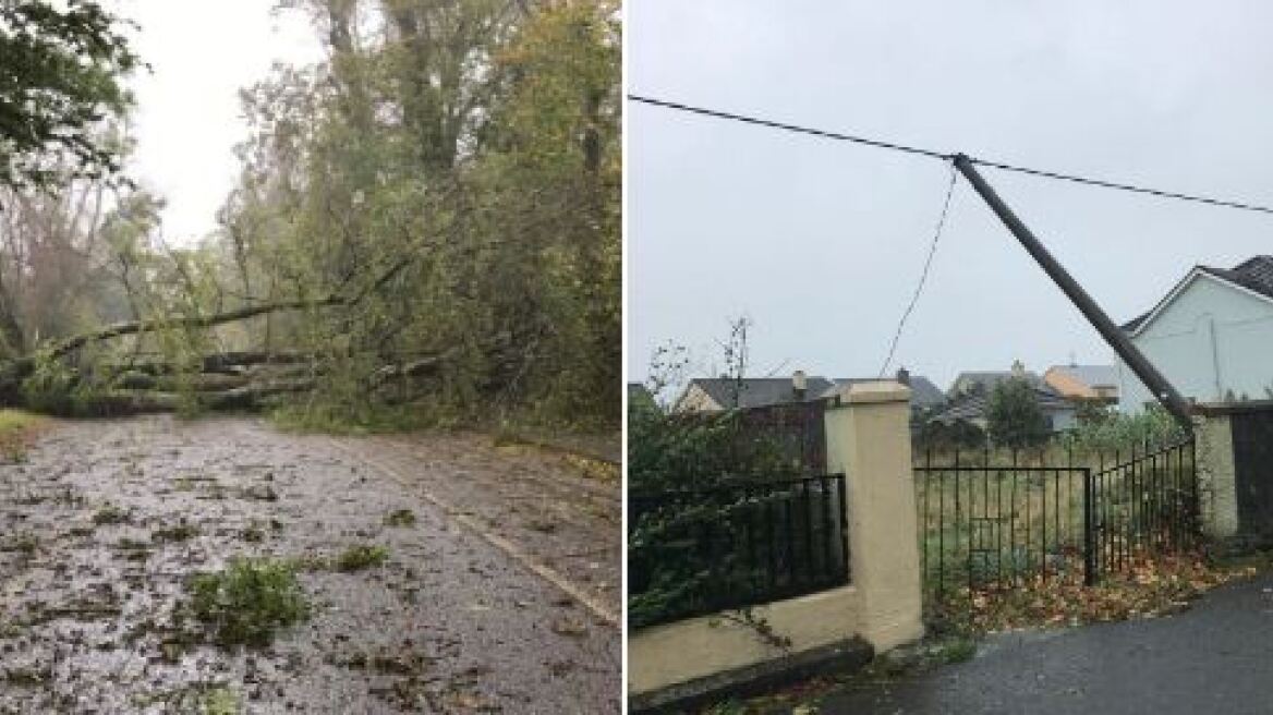 Ιρλανδία: Μία γυναίκα νεκρή από πτώση δέντρου εξαιτίας της καταιγίδας Οφηλία