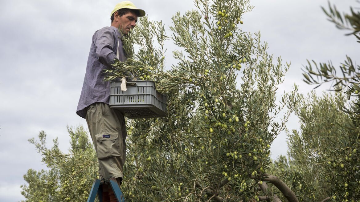 Αποστόλου: Πληρωμές 2,8 δισ. ευρώ στους αγρότες μέσα στο 2017