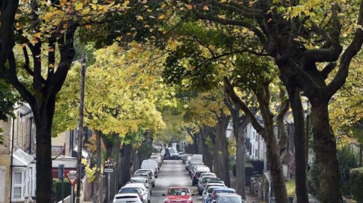 Λιγότερα περιστατικά άσθματος στις γειτονιές με πολλά δέντρα, σύμφωνα με έρευνα