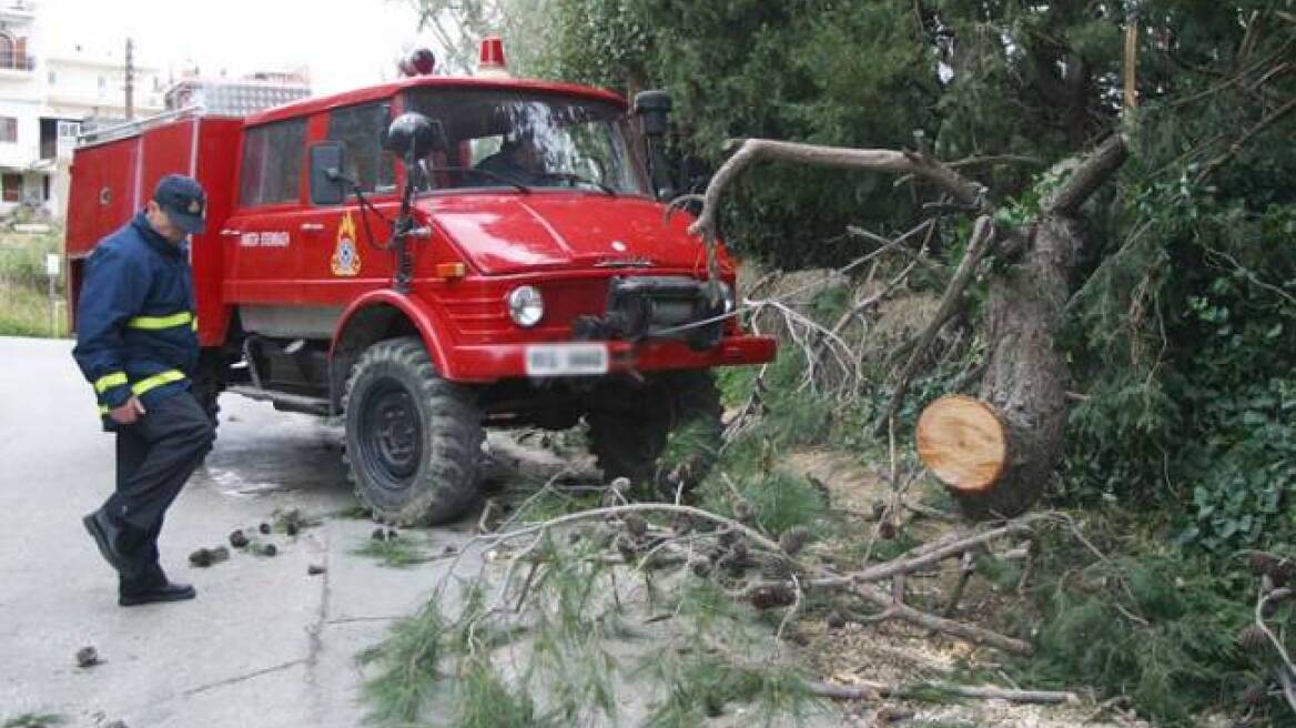 Πτώσεις βράχων και δέντρων στην Ήπειρο από τις έντονες βροχοπτώσεις 