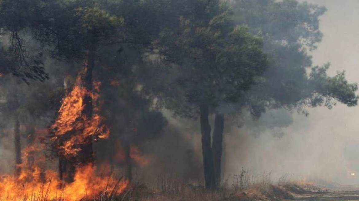 Ηλεία: Ξέσπασε μεγάλη πυρκαγιά στη Φρίξα 