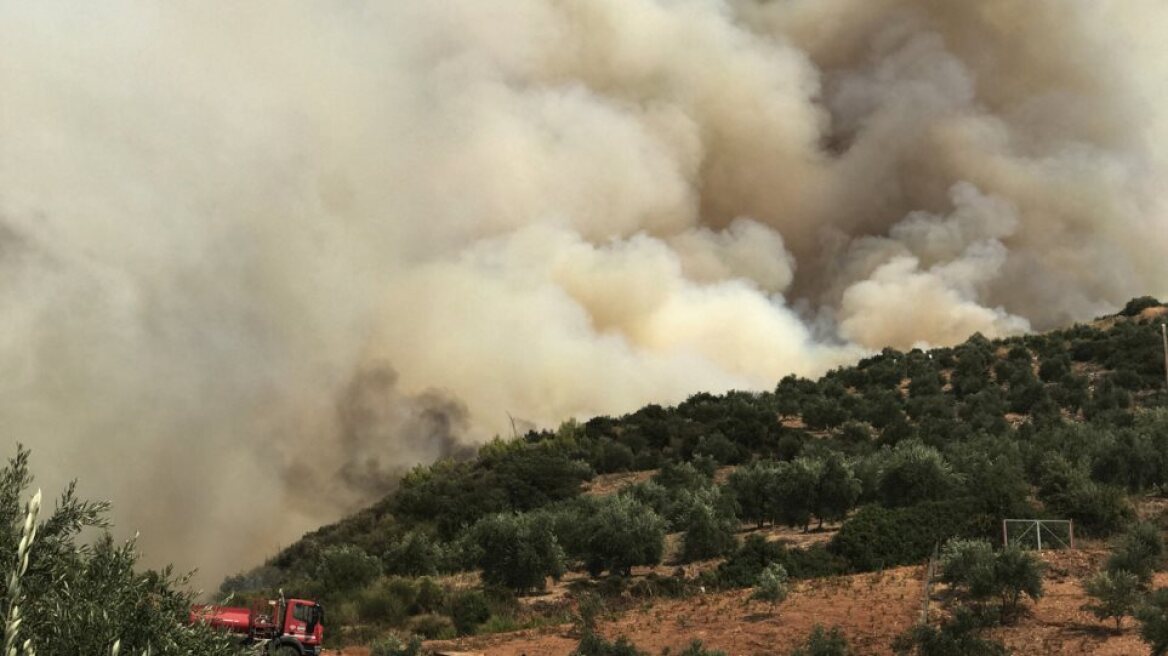 Ηλεία: Συνελήφθη 46χρονος αλλοδαπός για την μεγάλη πυρκαγιά στη Φρίξα