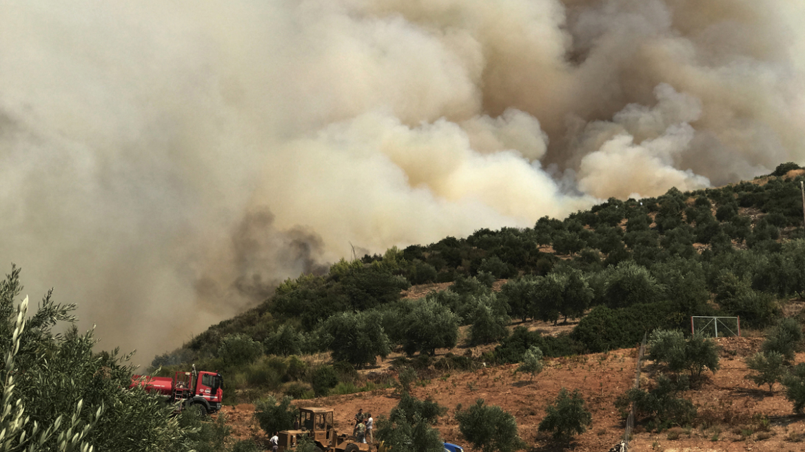 Ηλεία: Οι πυρκαγιές που θύμισαν 2007 μπήκαν από κατοίκους που έκαιγαν κλαδιά ελιάς