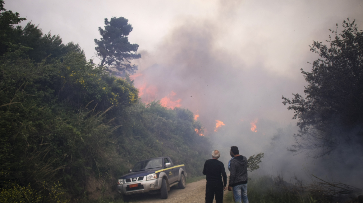 Σε ύφεση η πυρκαγιά στην Ηλεία