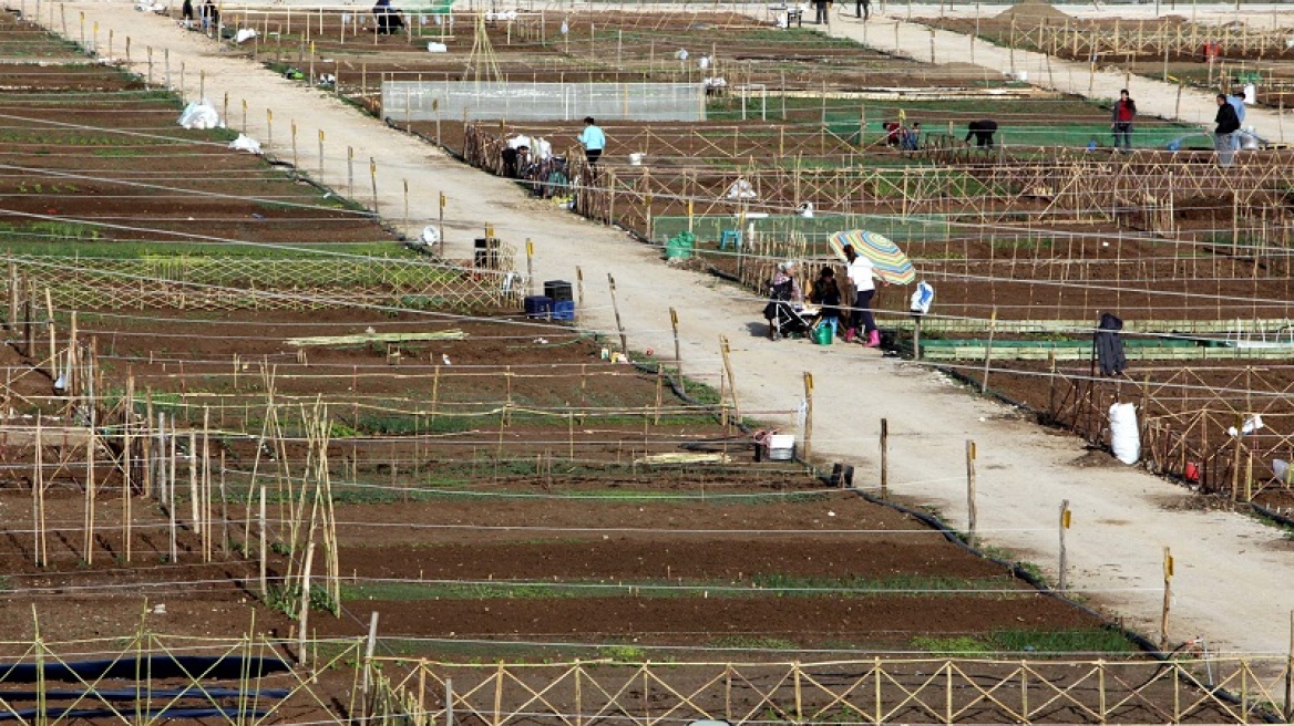 ΟΠΕΚΕΠΕ: Μέχρι τις 30 Μαΐου η υποβολή των συμβάσεων για τις βιολογικές καλλιέργειες