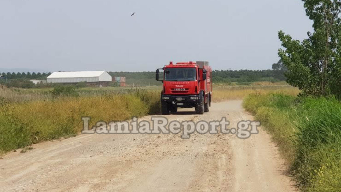 Λαμία: Ζευγάρι κινδύνευσε να καεί για να σώσει μία αγελάδα