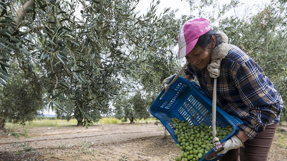 Ρύθμιση χρεών αγροτών με δυνατότητα «κουρέματος» έως και 60%