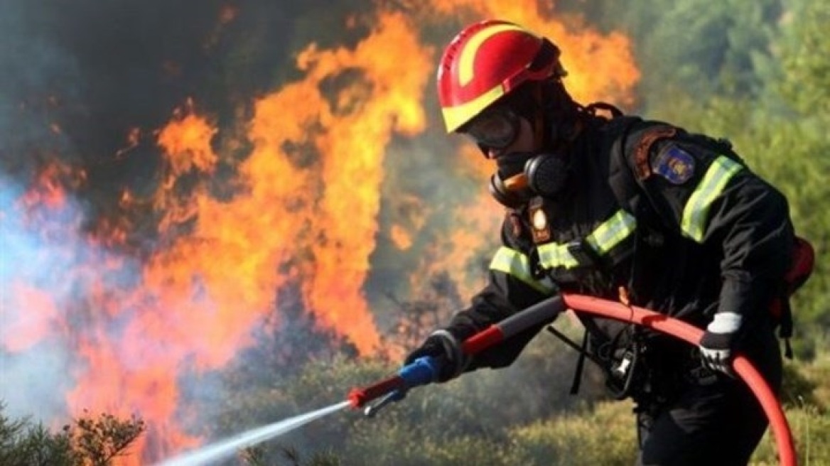 Υπό έλεγχο η φωτιά στον Άγιο Γεώργιο στην Κύμη Ευβοίας