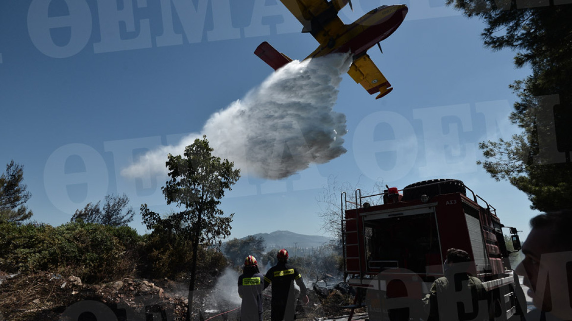 Φωτιά στο άλσος Συγγρού: Ένα Canadair και δύο PZL έσβησαν τις φλόγες