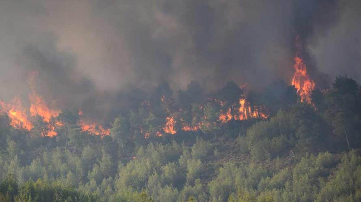 Φωτιά στα Πολιτικά Ευβοίας