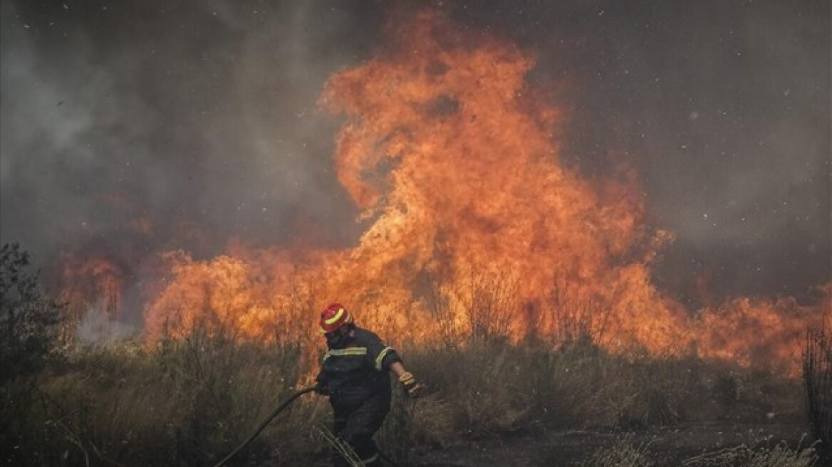 Υπό μερικό έλεγχο η πυρκαγιά στα Πολιτικά Ευβοίας