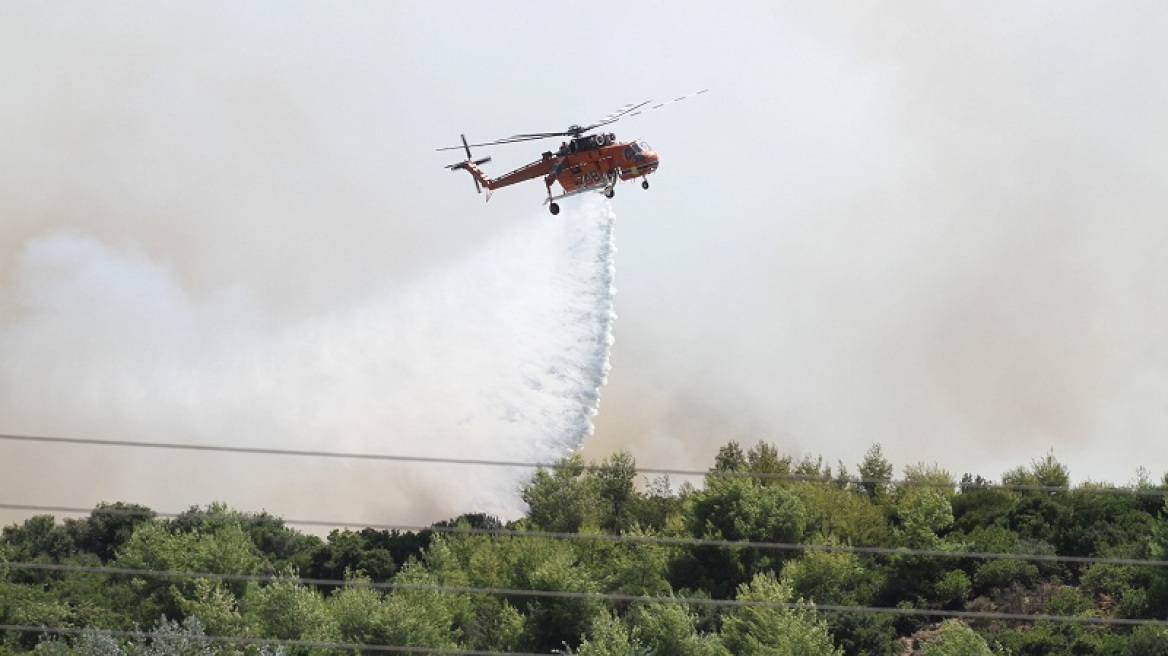 Βοιωτία: Πυρκαγιά σε δύσβατο σημείο σε δασική έκταση στην Ασωπία