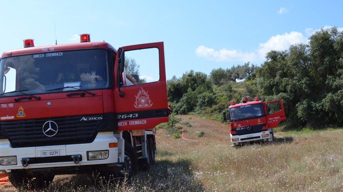 Υπό πλήρη έλεγχο η μεγάλη πυρκαγιά σε εργοστάσιο στα Οινόφυτα Βοιωτίας