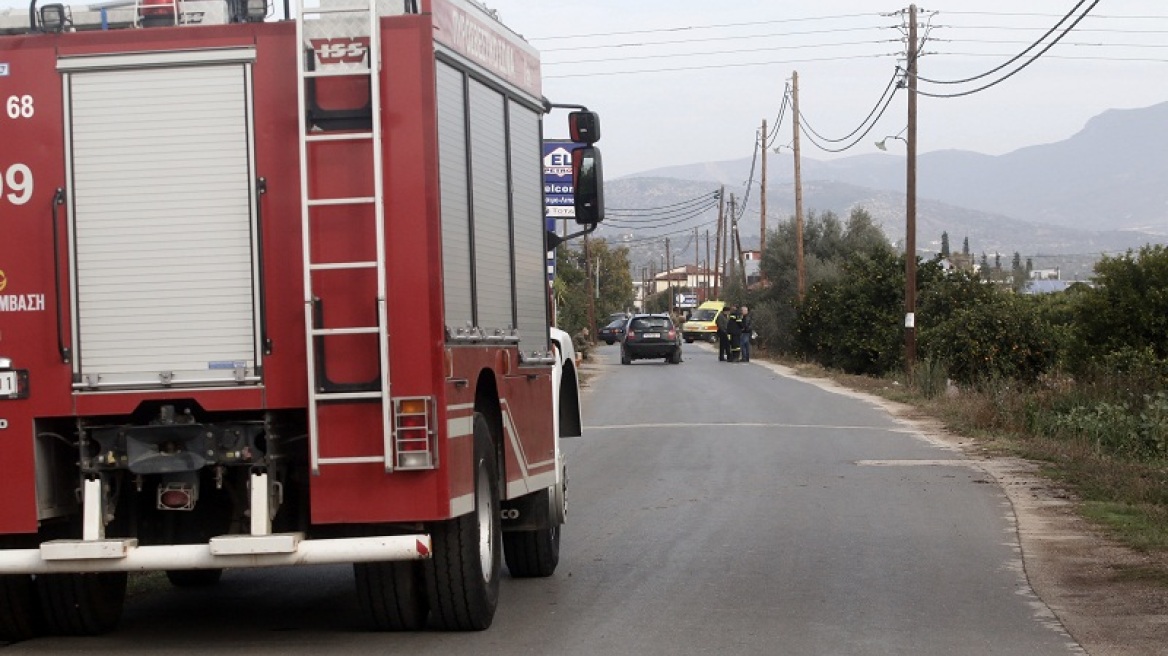 Φωτιά στην Πέτα Κερατέας και στη Νέα Μάκρη